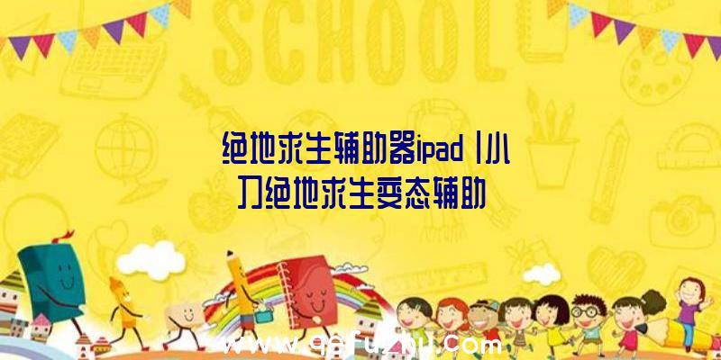 「绝地求生辅助器ipad」|小刀绝地求生变态辅助